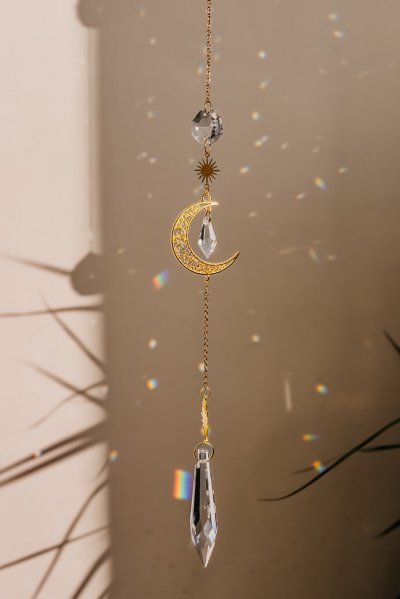 Lapač slunce měsíček