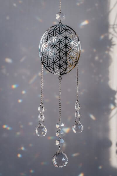 Lapač slunce Polární květ